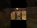 #рек #рекомендации #postal #postal2 #shorts