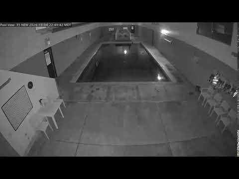 DogMode: Aquatic Center- Pool View — webcam en direct