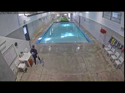 DogMode Aquatic Center Pool View