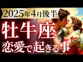 【牡牛座4月後半の恋愛運💗】えっ。。。めちゃくちゃ強い❗️凄まじい神回来ました🥳🙌運勢をガチで深堀り✨マユコの恋愛タロット占い🔮