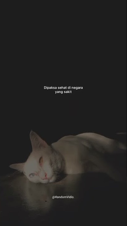 Cepat sembuh negaraku😌. STORY WA TERBARU KEREN😁