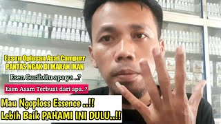 5 PEMBAGIAN ESSENCE BERDASARKAN AROMA DAN BAHAN DASARNYA.Part2