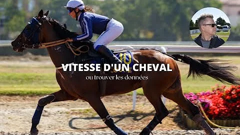 Quelle est la vitesse d'un cheval au trot ?