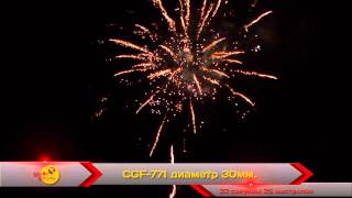 CGF 771