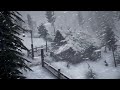 BRUTAL BLIZZARD SOUNDS. Howling Wind Sounds for Sleeping. Blizzard Ambience | Frozen Snowfield Calm
