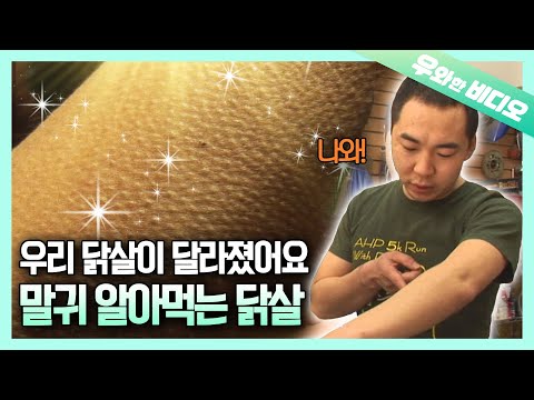 &amp;#39; 하면 들어가는 스마트 닭살🐔┃<strong>Smart</strong> Goosebumps, Just Say ＂<strong>Come</strong> out＂ or ＂Go in＂