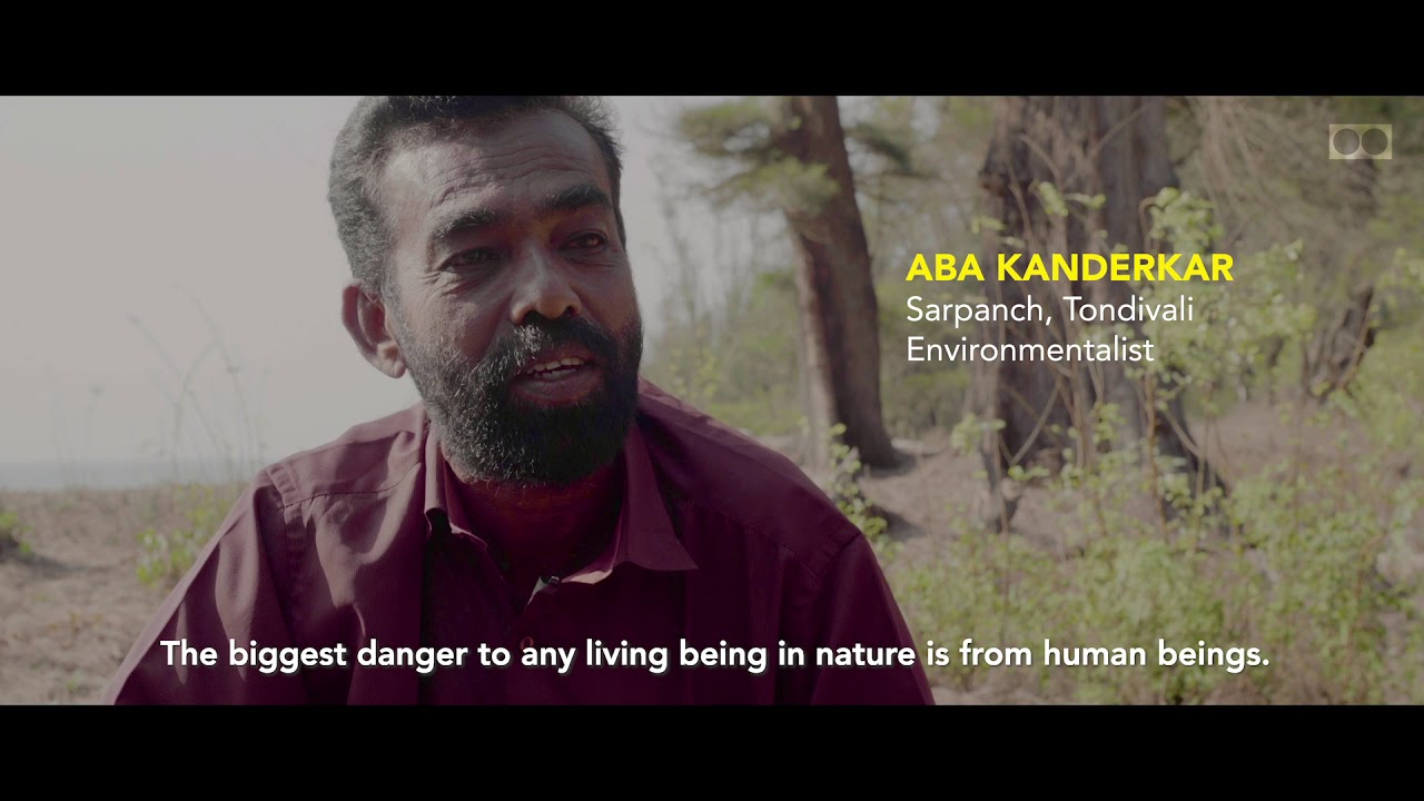 WE'RE HERE TOO---EP01 Guardians of Turtles - Trailer