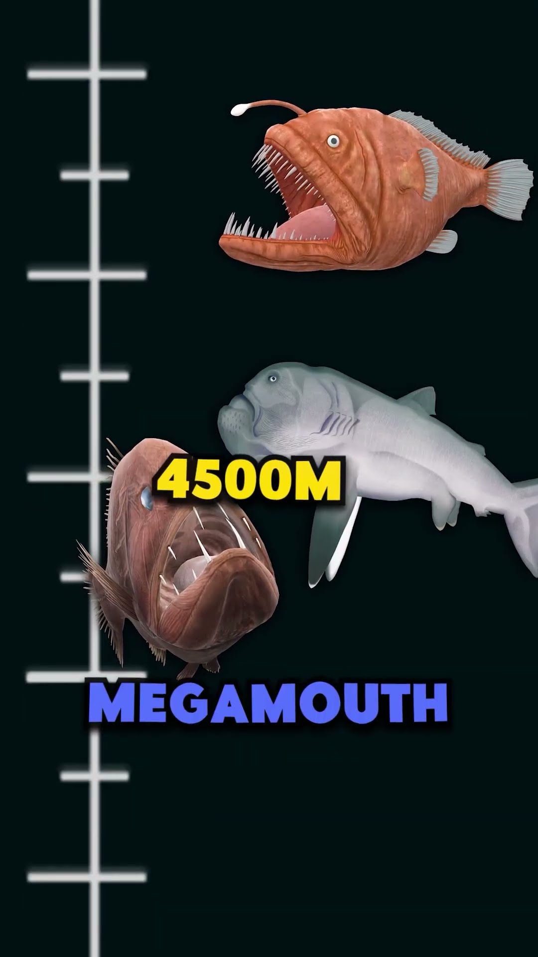 How Deep Does The Ocean Actually Go? - YouTube
