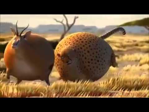 Saat Hewan Obesitas Berjuang Dalam Kehidupan Youtube