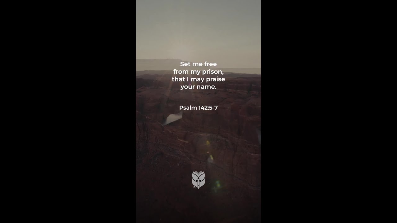 I run to You, Lord, my hiding place in the land of the living 