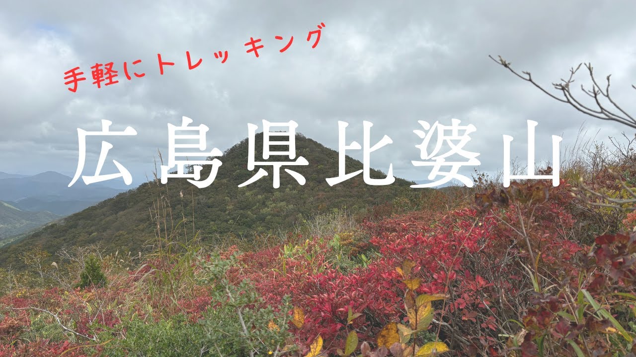 【比婆山】整備された登山道で初心者にも安心。息の切れないトレッキング♪