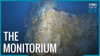 Stories From The Blue The Monitorium