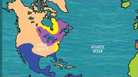 Unit 10 Read Aloud: The English Colonies