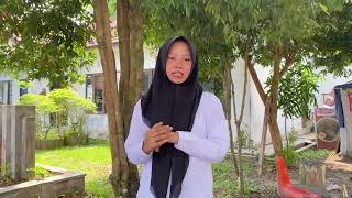   Pengenalan 4 Pilar Literasi Digital