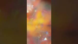 Taylor Swift  You Belong With Me  s  taylorswift taylorsversion youbelongwithme