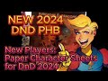Paper Character Sheet Guide for New Players DnD 2024