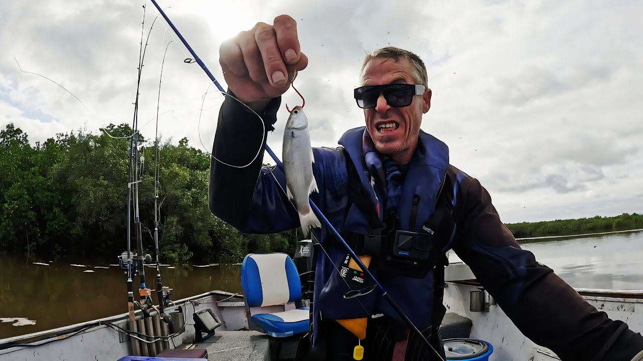 Is this the best fishing river in QLD Australia? (Catch & Cook)