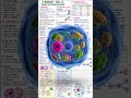 Biology Cell Chapter Full Notes 📚 | Cell Structure & Functions Class 9 CBSE | Handwritten Notes ✨