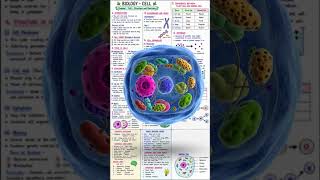 Biology Cell Chapter Full Notes 📚 | Cell Structure & Functions Class 9 CBSE | Handwritten Notes ✨