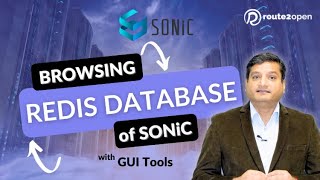 Browsing Redis database of SONiC with GUI tools | route2open screenshot 2