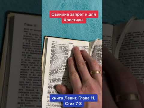 Видео: Где в Библии говорится о богохульстве?