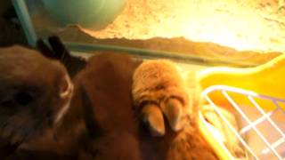 SANY1238.MP4