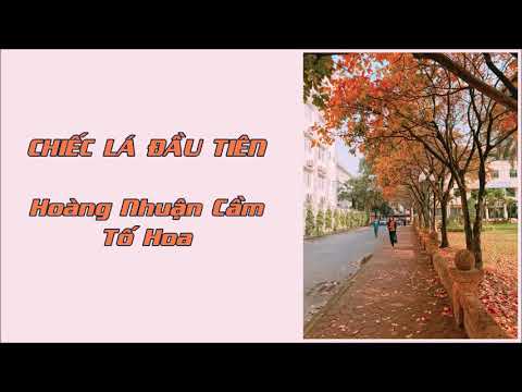 Video Bài thơ: Chiếc lá đầu tiên - Hoàng Nhuận Cầm - Tố Hoa... - youtube