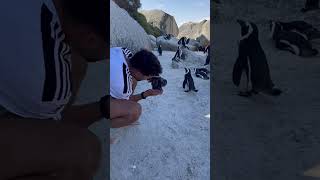 Pinguin Beach Shooting