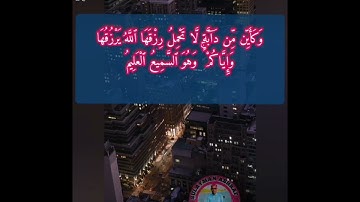 القارئ سليمان أشرف. ما تيسر من سورة العنكبوت