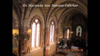 SAN ANTONIO CALICHAR