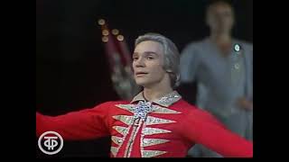Vladimir Vasiliev ❤️  -  Sugar Plum - Prince Variation