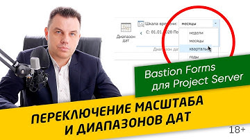 #4 Настройка переключения масштаба шкалы времени в Bastion Forms для Project PPM