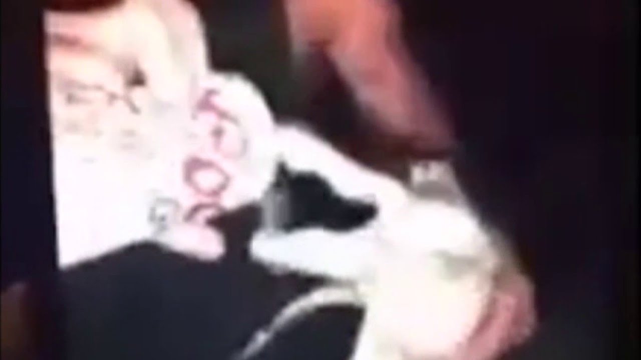 newspaper mockup ClickO on the Go: Florida man accused of pouring beer in gator’s mouth; ice cream recall