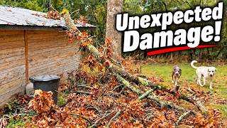 The Storm Left Us With A PROBLEM…