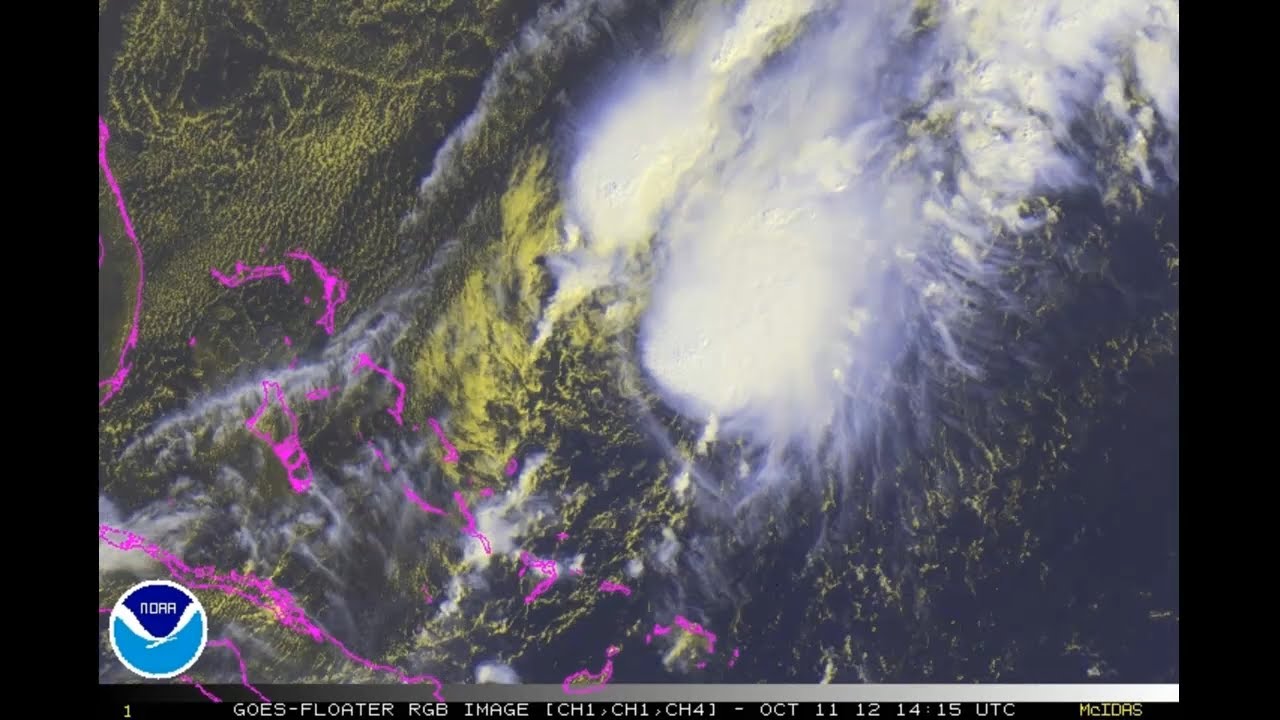 Tropical Storm Patty / 16L (2012)