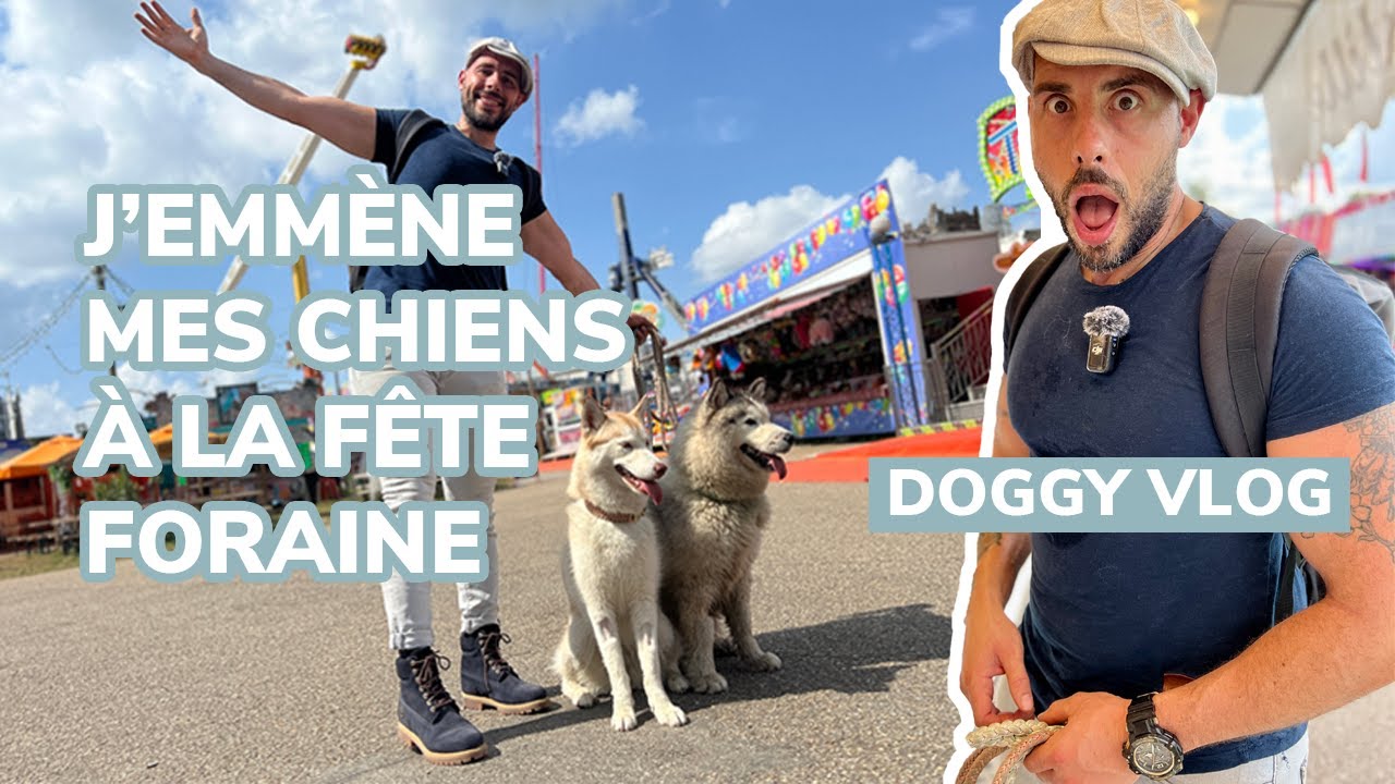 Doggy Vlog | J'emmène mes chiens à la fête forraine !