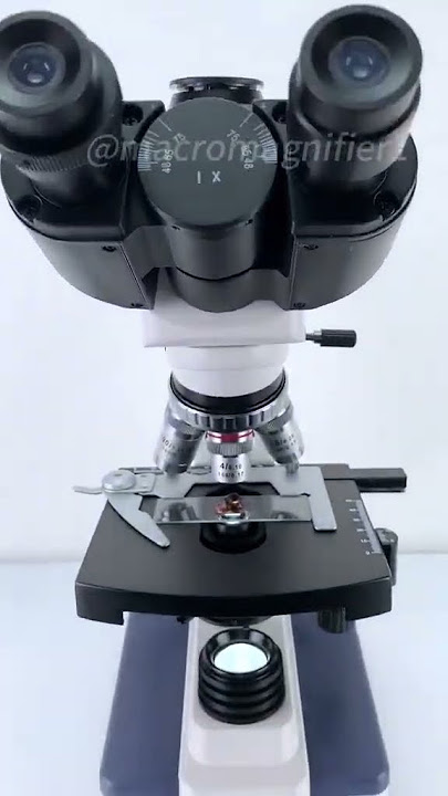 Fish eyes magnified 400X are seriously awesome!  #funnyvideo #usa🇺🇸 #usa tiktok #microscope