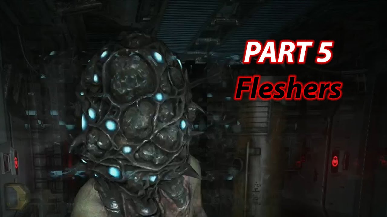 SOMA Part 5 - Fleshers