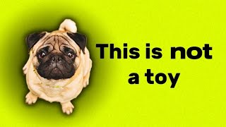 How Humans Ruined Dogs