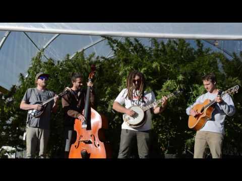 Watch Kitchen Dwellers - Guilty on YouTube Watch Kitchen Dwellers - Guilty on YouTube