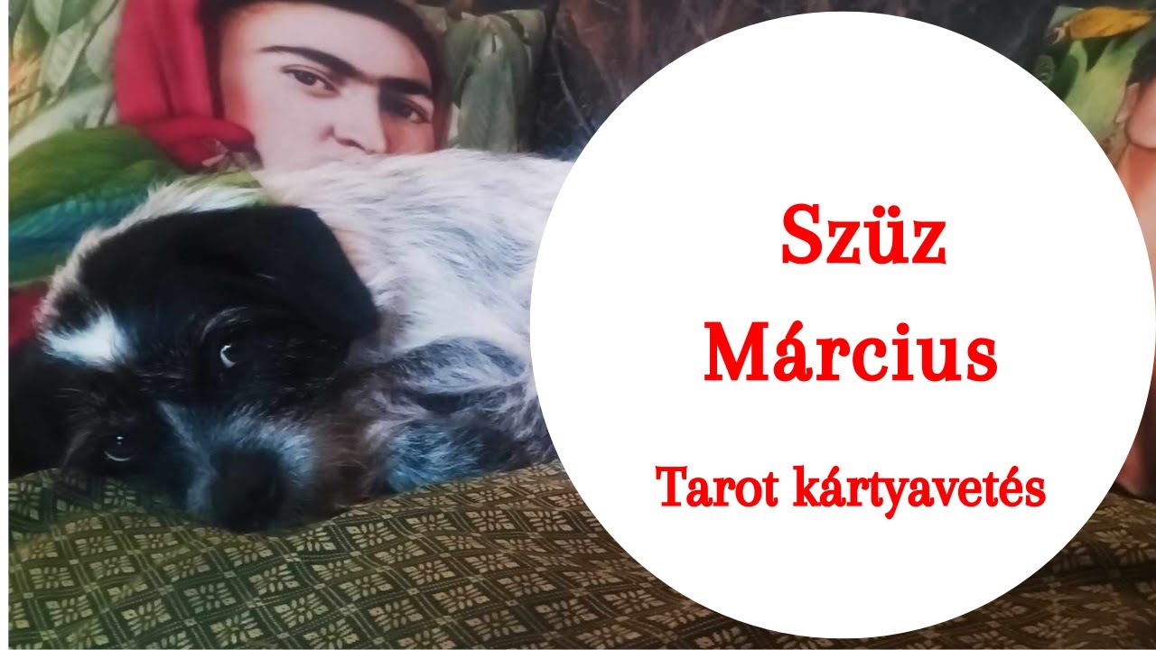 ” Szorgalmaskodás 