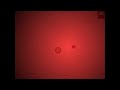 big update for my game