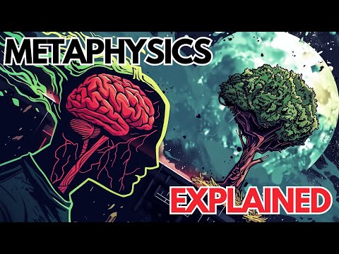 What is Metaphysics? Explained in 4 Minutes w/memes