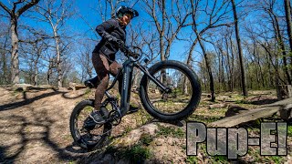 Another Fast Pup! Puckipuppy Boxer EBIKE Test