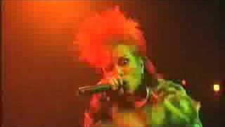 hide-Bacteria (Live)