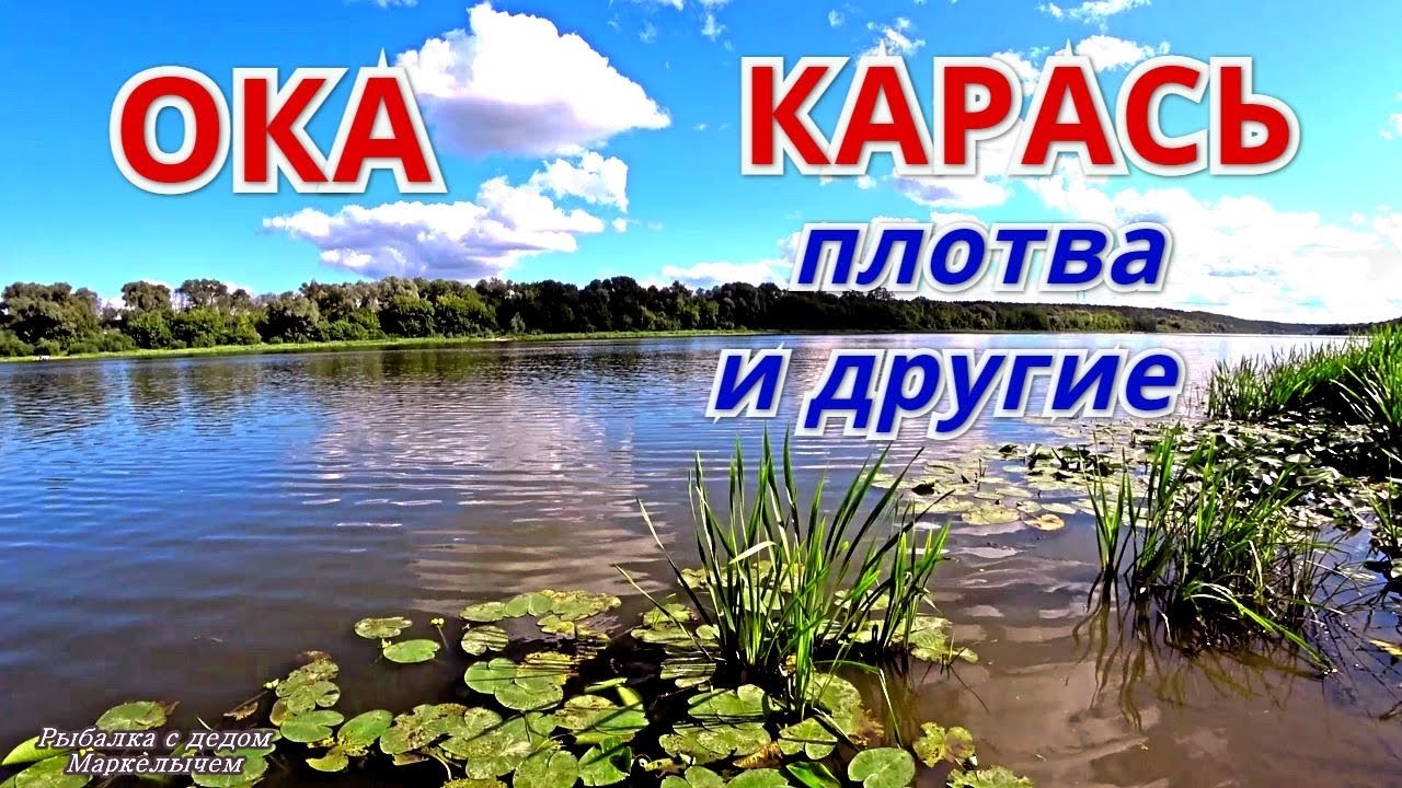 Карта рыбалки на оке