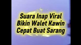 Suara Inap Viral Birahi Walet – Bikin Walet Cepat Kawin & Cepat Buat Sarang 🕊️