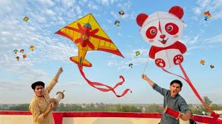 Penda Kite Vs Aeroplane Kite Flying Unique Kite Flying With Catch