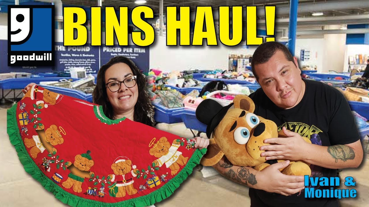 Goodwill Bins Outlet Haul Fort Worth Texas What we buy to sell for