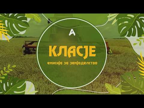 КЛАСЈЕ - епизода 25